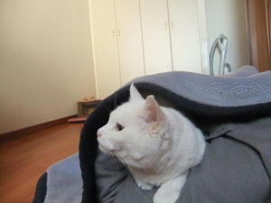 DSCF4961.JPG