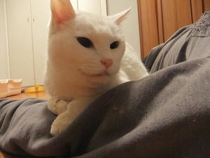 DSCF4994.JPG