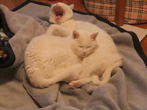 DSCF5012.JPG
