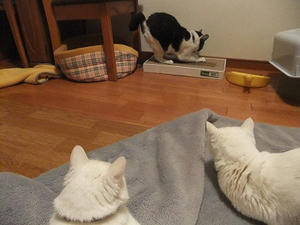 DSCF5034.JPG