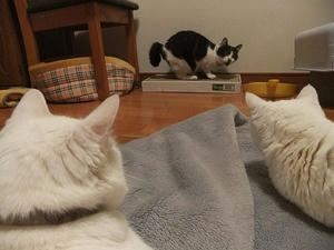 DSCF5036.JPG