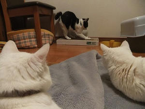 DSCF5037.JPG
