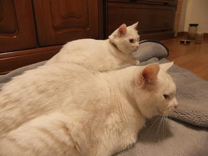 DSCF5039.JPG