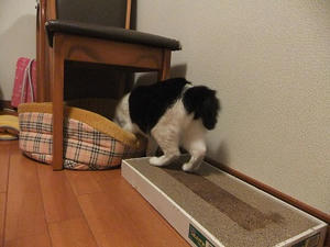 DSCF5040.JPG
