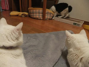 DSCF5041.JPG