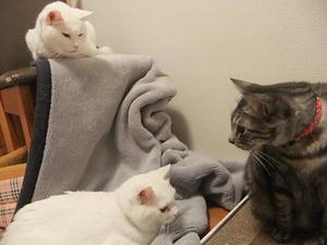 DSCF5118.JPG