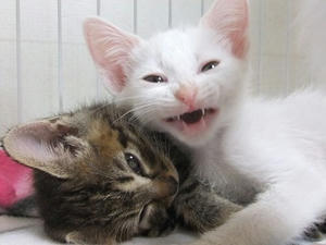 DSCF5092.JPG