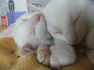 DSCF5144.JPG