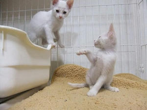 DSCF5171.JPG