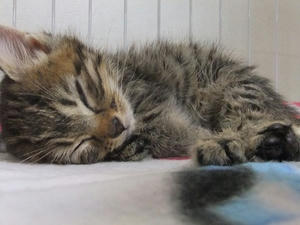 DSCF5101.JPG