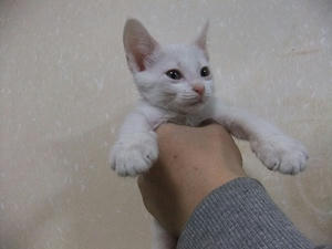 DSCF5150.JPG
