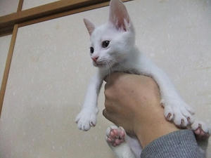 DSCF5151.JPG