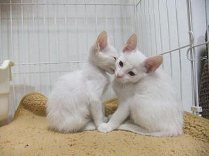 DSCF5179.JPG