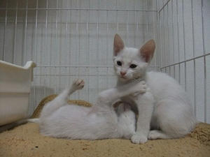 DSCF5183.JPG