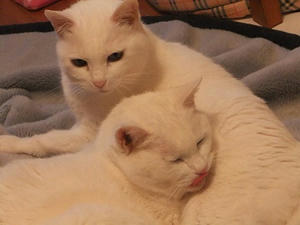 DSCF5013.JPG