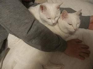 DSCF5132.JPG