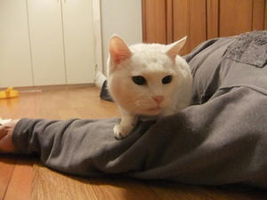 DSCF4987.JPG
