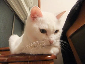 DSCF5189.JPG
