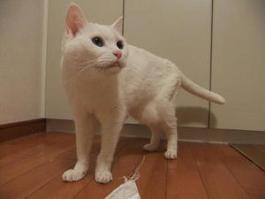 DSCF5251.JPG