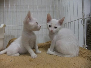 DSCF5176.JPG