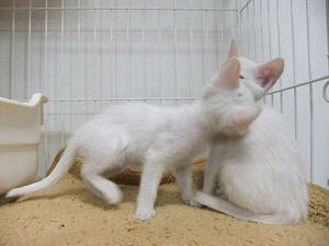 DSCF5177.JPG