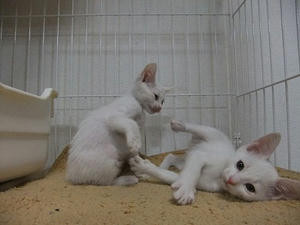 DSCF5185.JPG