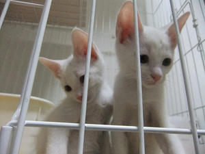 DSCF5196.JPG