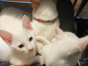 DSCF5232.JPG