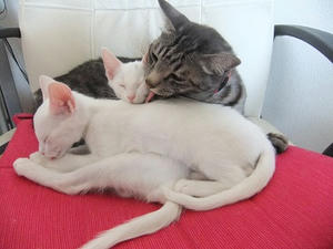 DSCF5288.JPG