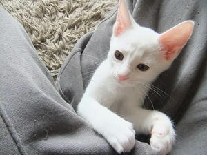 DSCF5320.JPG