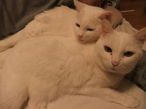 DSCF5135.JPG