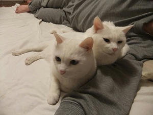 DSCF5136.JPG
