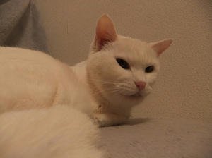 DSCF5190.JPG