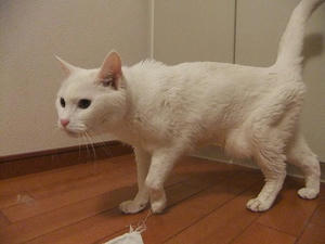 DSCF5249.JPG