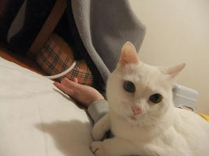 DSCF5255.JPG