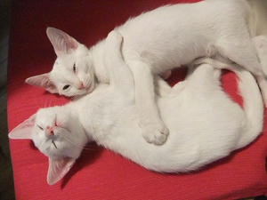 DSCF5355.JPG