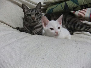DSCF5339.JPG