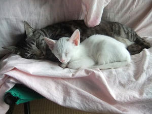 DSCF5269.JPG