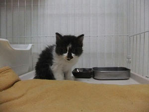 DSCF5256.JPG