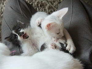 DSCF5299.JPG