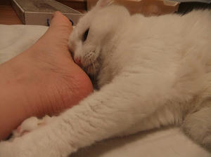 DSCF5483.JPG