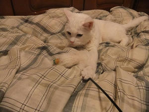 DSCF5070.JPG