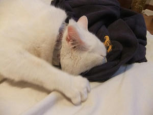 DSCF5064.JPG