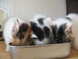 DSCF5492.JPG
