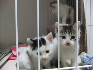 DSCF5409.JPG