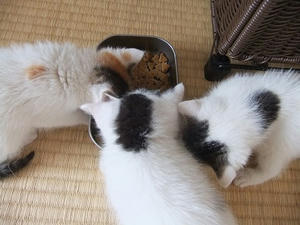 DSCF5491.JPG