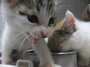 DSCF5425.JPG