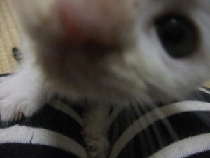 DSCF5528.JPG