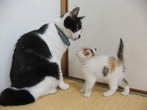 DSCF5536.JPG