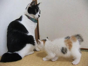 DSCF5537.JPG